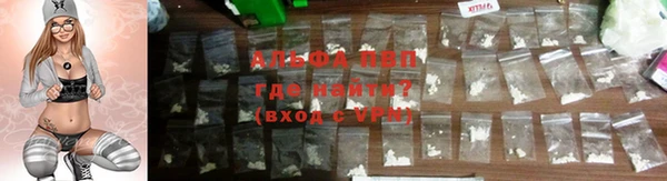 хмурый Каменногорск