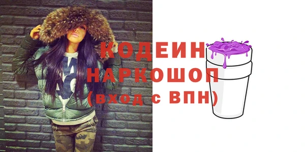 хмурый Каменногорск