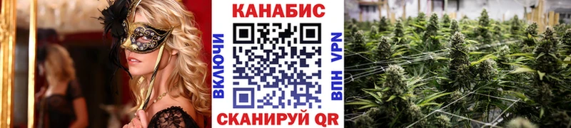 hydra ссылки  Орехово-Зуево  Шишки марихуана THC 21% 
